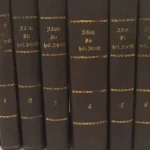 Glaubenskanon der Bibelauslegung: Die Bibel nach Allioli