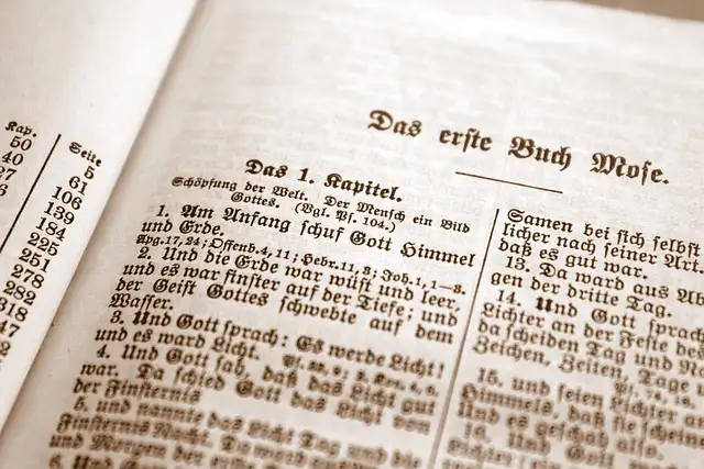 Das Seufzen der Schöpfung: Der Zustand der Schöpfung durch die Erbsünde verschlechtert